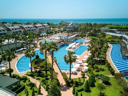 Tui-Magic-Life-Jacaranda